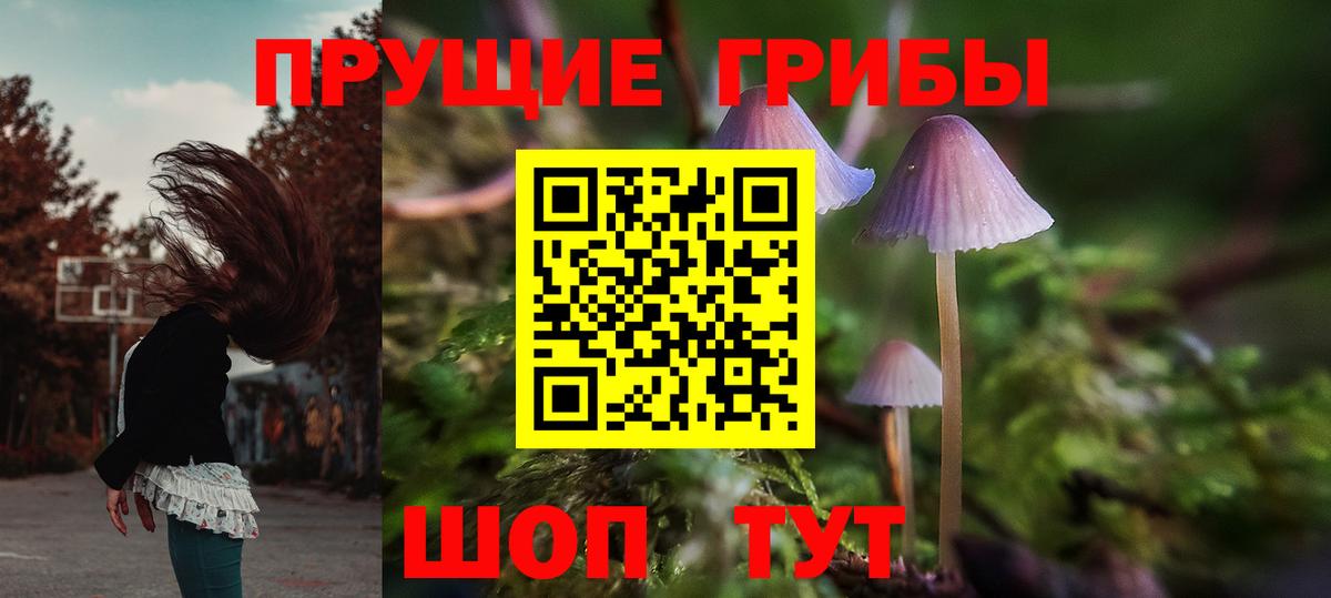 Дзержинск  Галлюциногенные грибы Psilocybe  хочу   Вход с VPN  Галлюциногенные грибы Magic Shrooms 